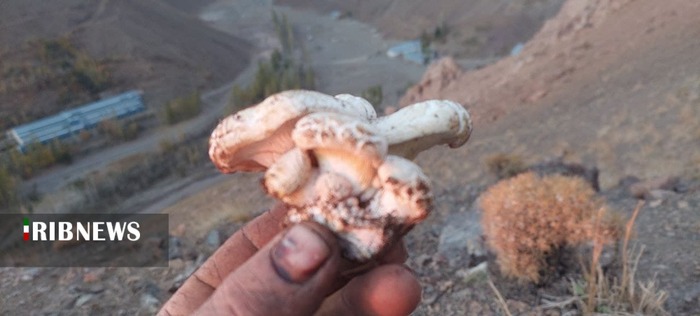 روستای خشکچال