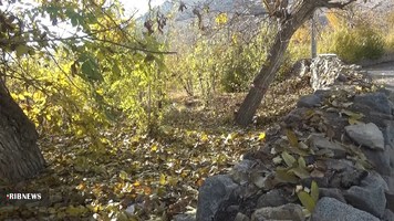 زیبایی‌های پاییز هزار رنگ در جَوینان بخش قمصر کاشان