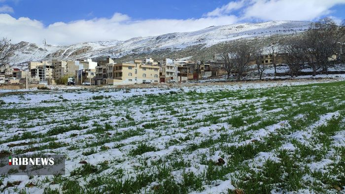 بارش برف بهاری در سپیدان - سجاد قیصری