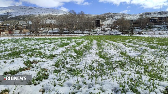 بارش برف بهاری در سپیدان - سجاد قیصری