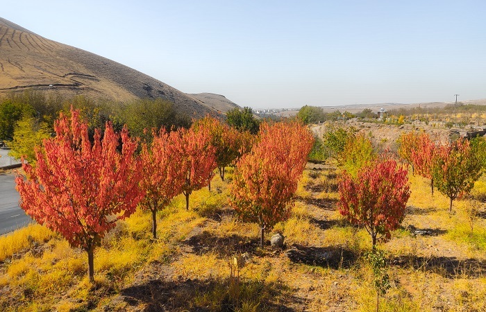 طبیعت رزجرد